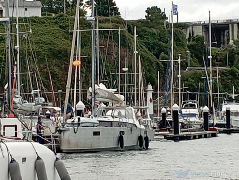 BORIBOAT photo