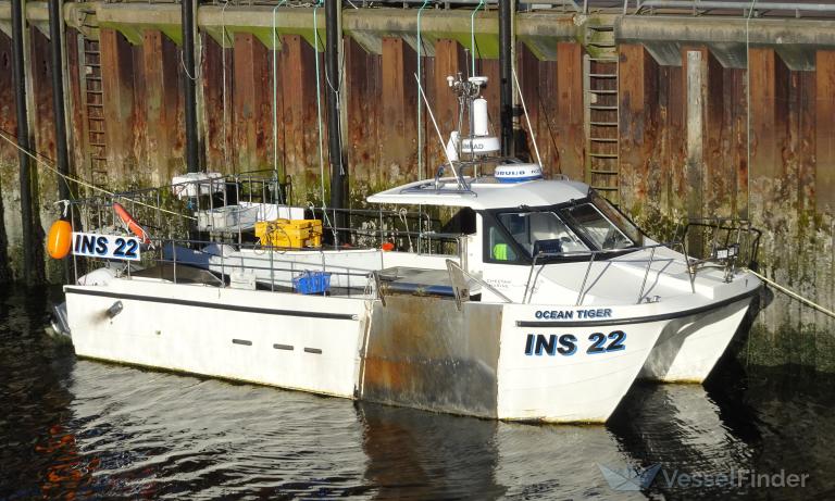 OCEAN TIGER INS22