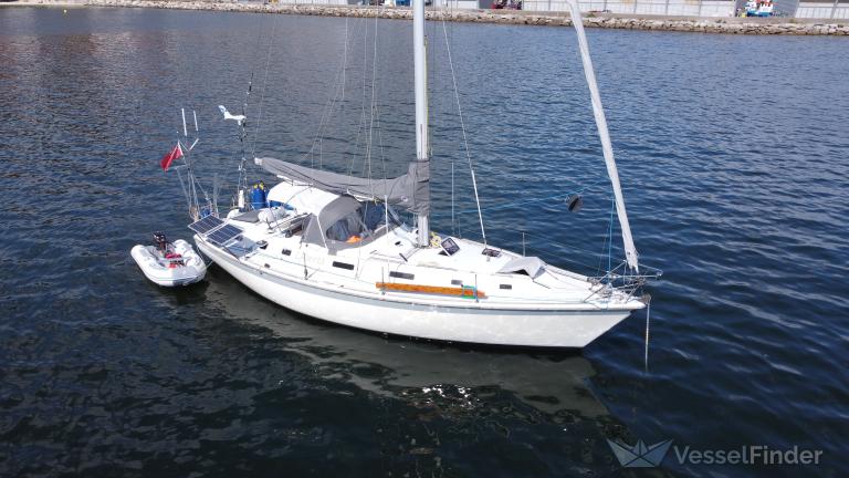 LIBERTA SOLO SAILOR photo