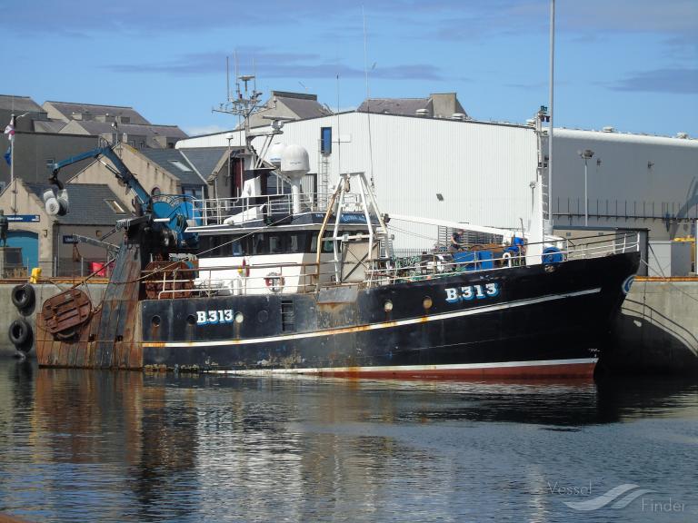 LUCINDA ANN B313 photo