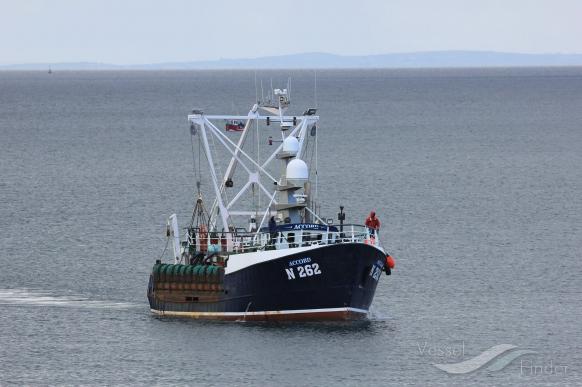 GV ACCORD N262 photo