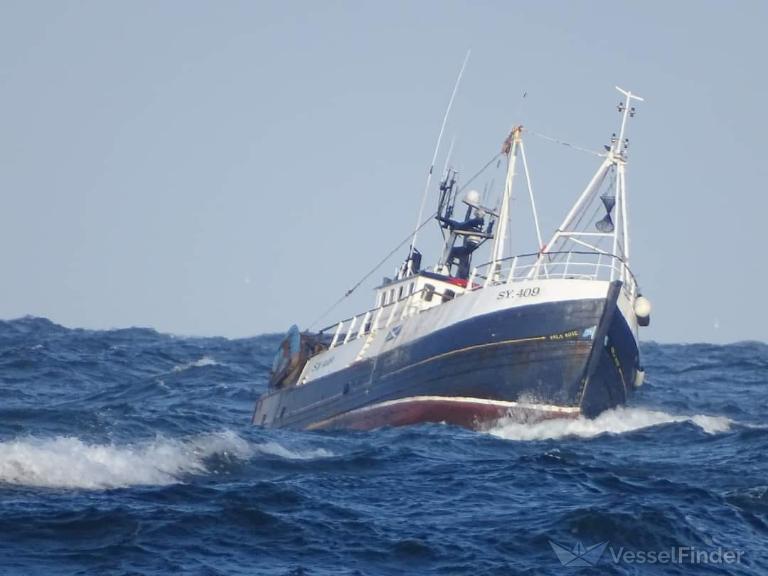 G.V. ORLA ROSE SY409 photo