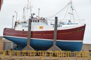 STELLA-MARIS
