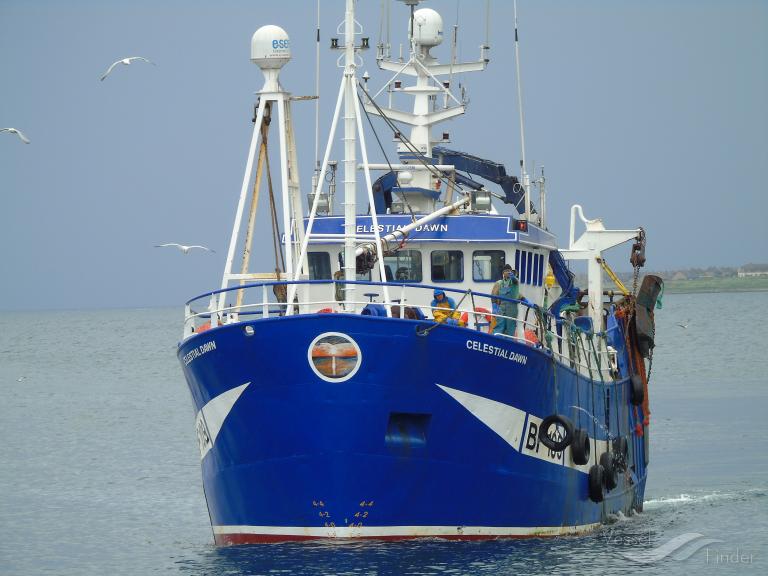 CLAIRE MARIE BF101 photo