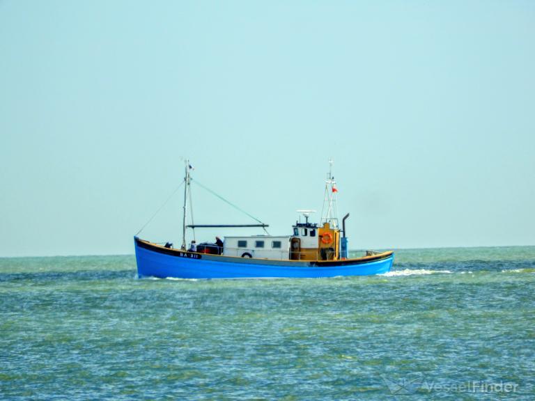 MARIE photo