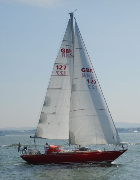 A DAY AT THE RACES photo