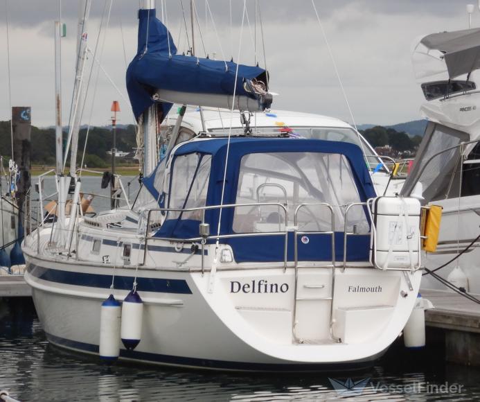 DELFINO photo