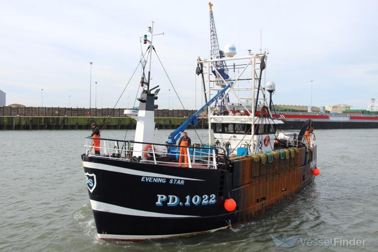 GV EVENING STAR photo