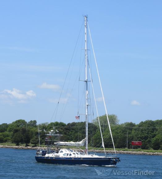 SONG OF THE WHALE photo