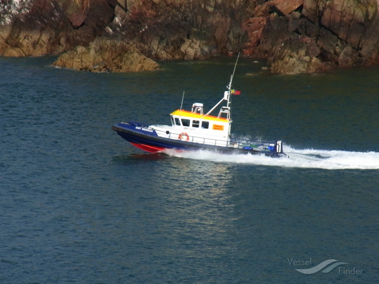 DMS MERRION photo