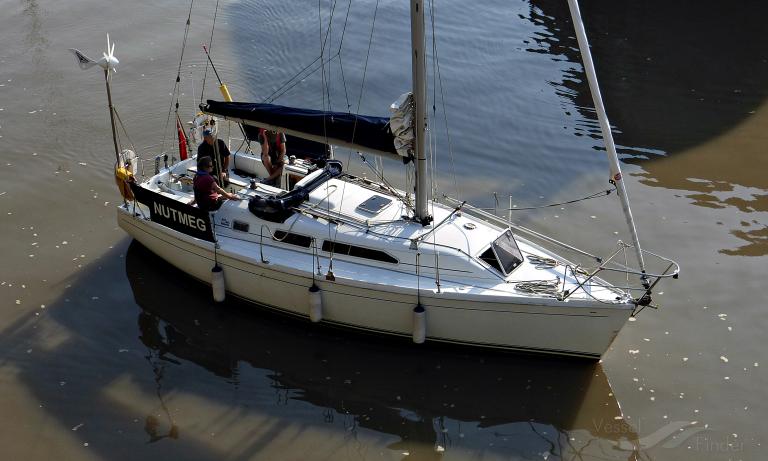 NUTMEG OF BEAUMARIS photo