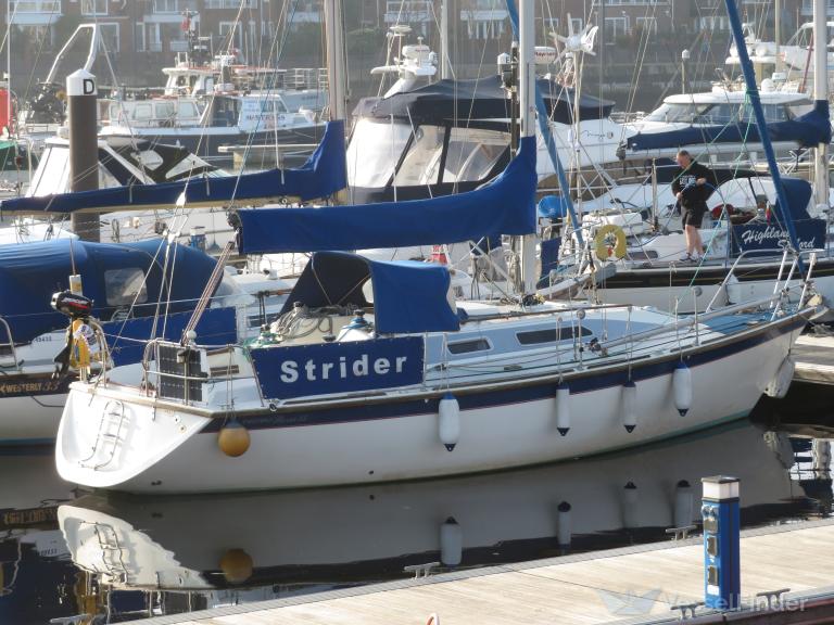STRIDER photo