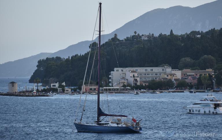 BARE NECESSITIES photo