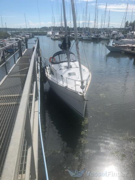 LA MOUETTE photo