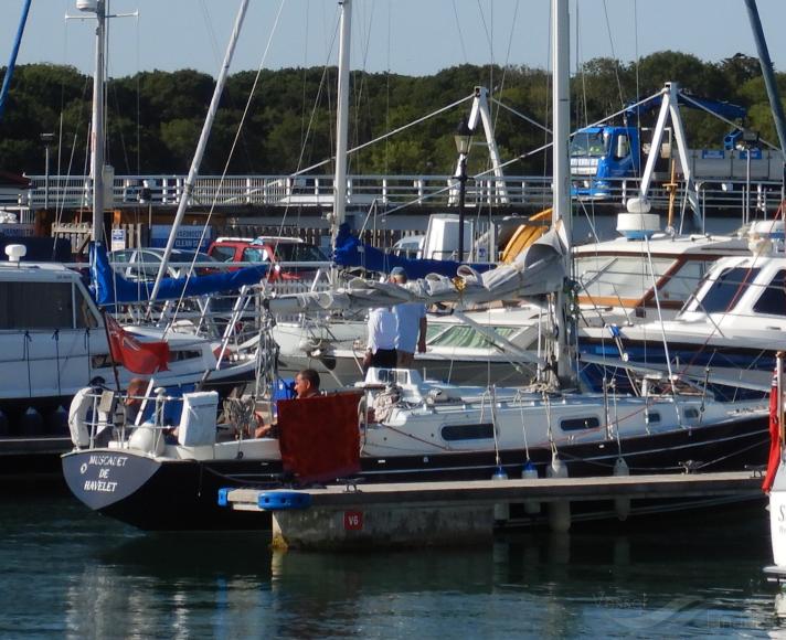 MUSCADET DE HAVELET photo