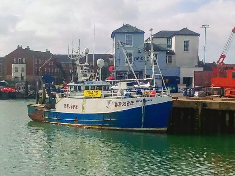 ARK ANGEL CY177 photo