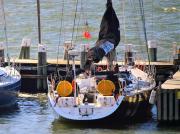 CELESTE-OF-SOLENT
