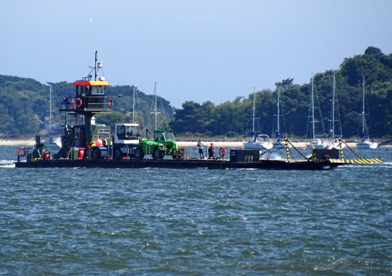 FURZEY SQUIRREL photo