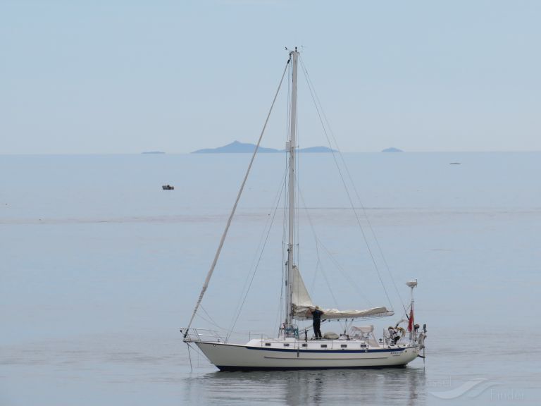 AVOCETTE photo