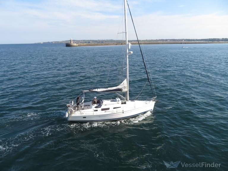 AUBURN DREAMER photo