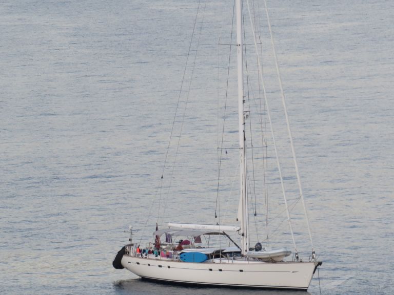LOVE THE SEA photo