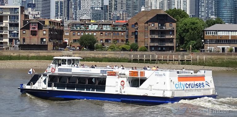 MILLENIUM OF PEACE photo