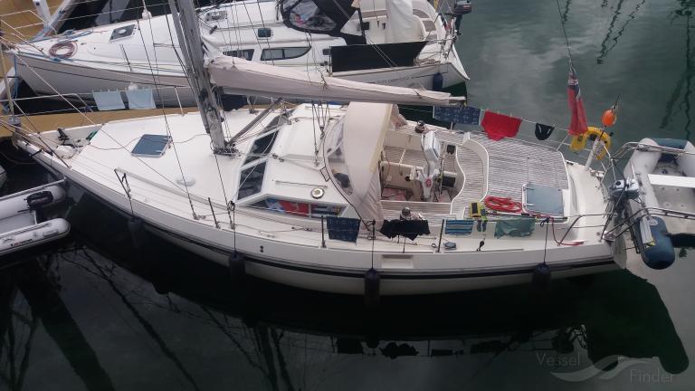 CHINAMAN OF POLRUAN photo