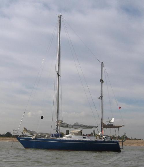 VAGRANT OF WOODBRIDG photo