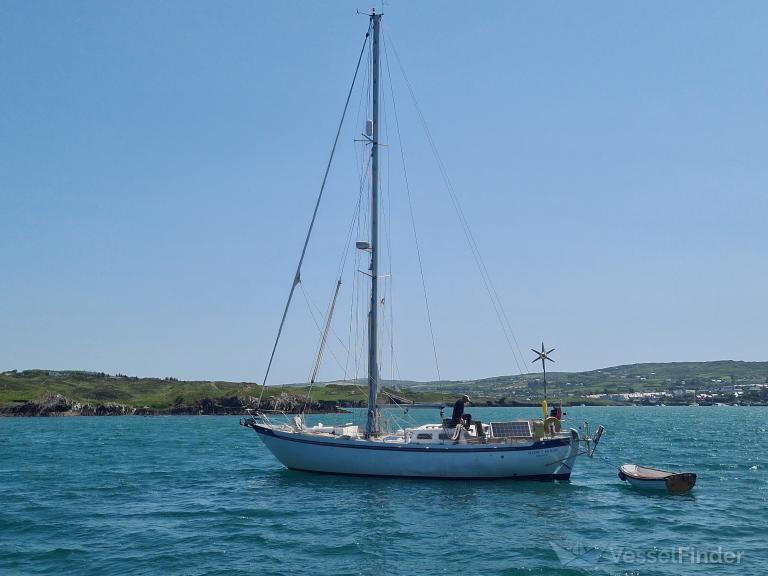 SELENES DRAGON photo