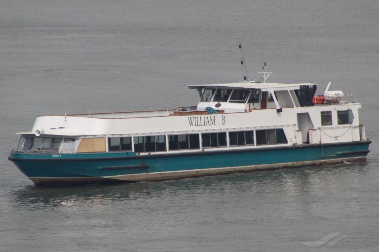 SILVER SOCKEYE photo