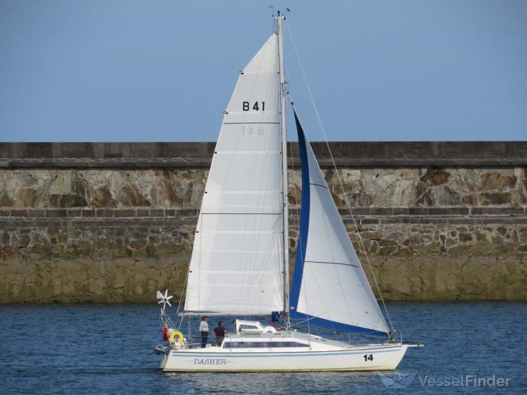 DASHER OF MILLBROOK photo