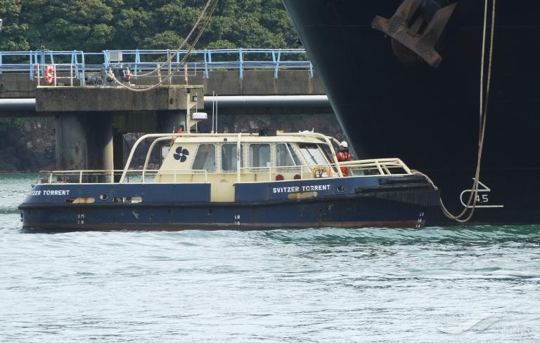 SVITZER TORRENT photo