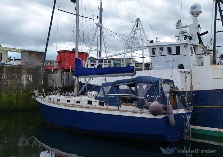 BIG AL photo