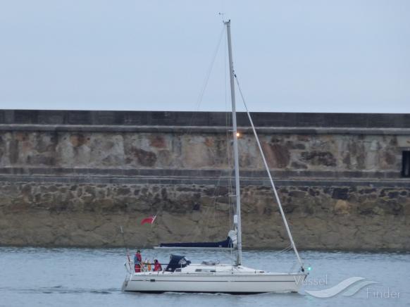 TRINGA OF COLNE photo