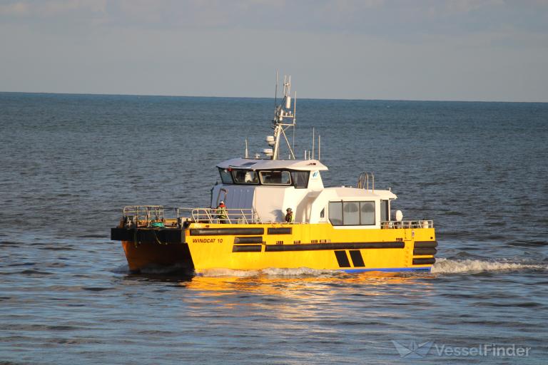WINDCAT 10 photo