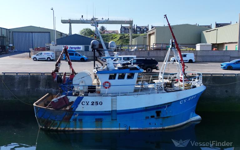 STELLA MARIS CY250 photo