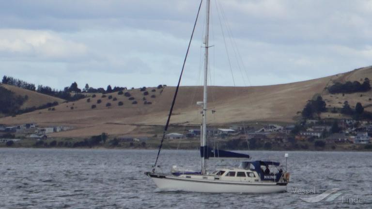 MAUNIE OF ARDWALL photo