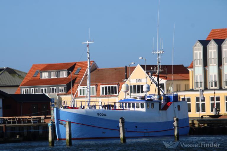 BODIL photo