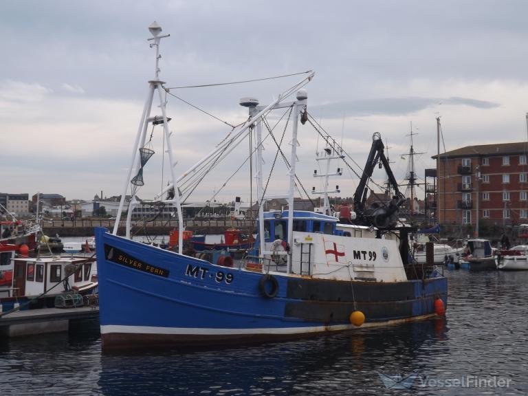 SILVER FERN MT99 photo