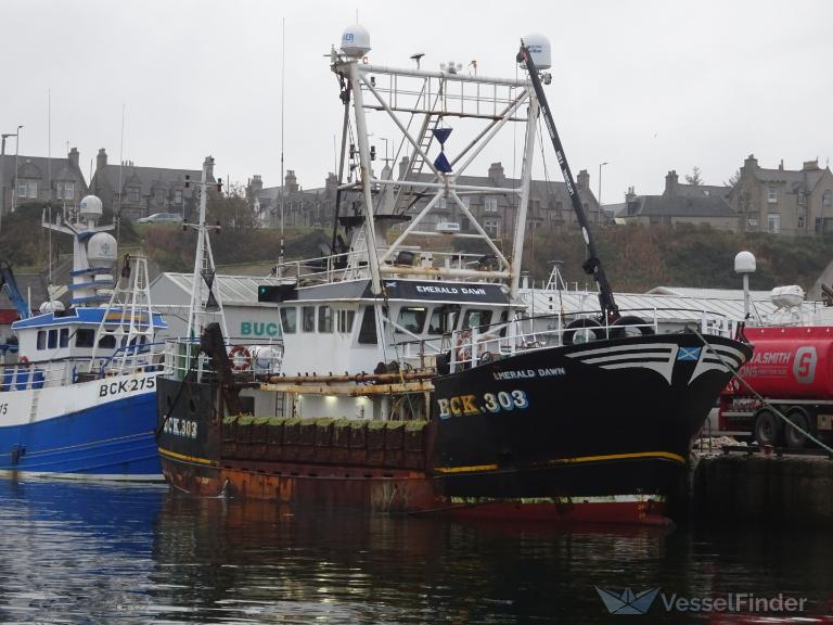 EMERALD DAWN BCK303 photo