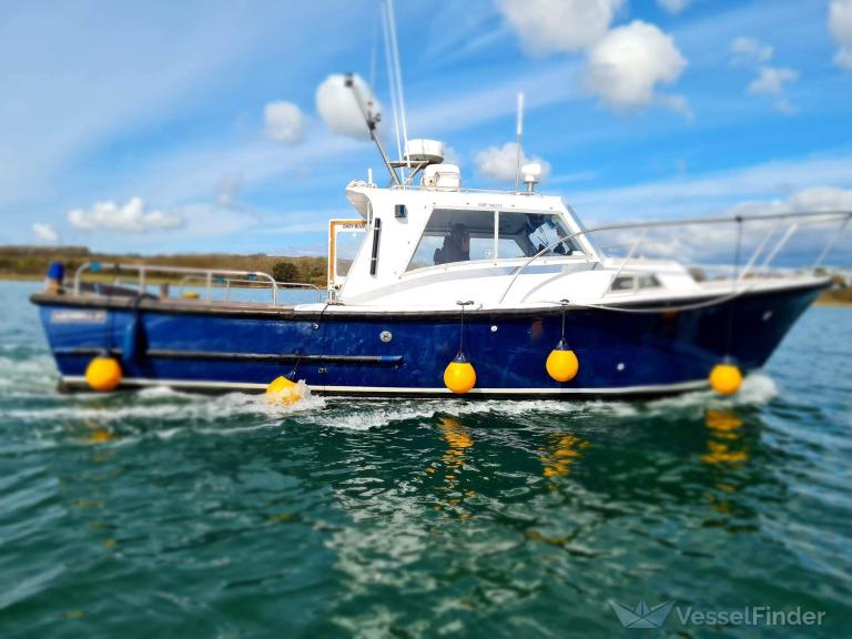 EASY BLUE photo