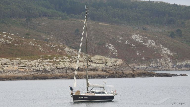 LAYLA II OF HAMBLE photo