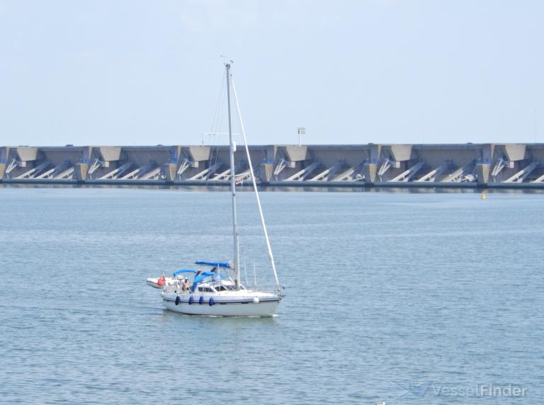 SANDOLLAR photo