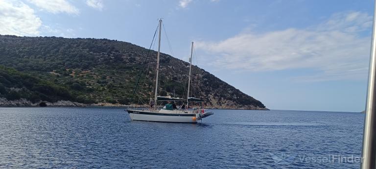 JIGSAW OF GOSPORT photo