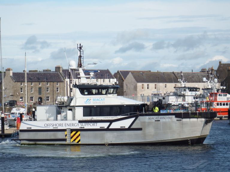 SEACAT MISCHIEF photo