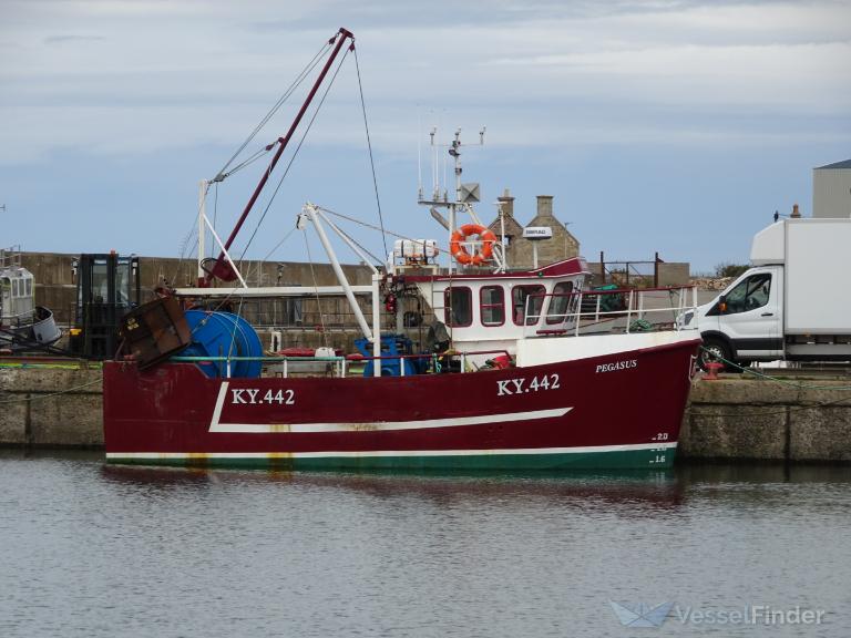 PEGASUS KY442, Fishing vessel - Details and current position - MMSI ...