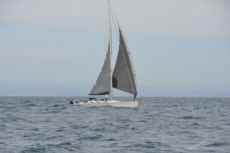 MILLA OF FALMOUTH photo