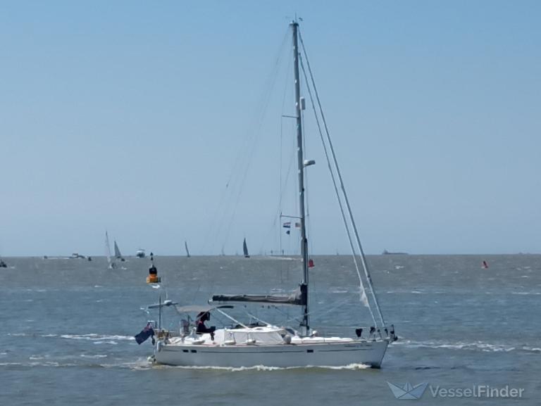 SEAHORSE OFTHESOLENT photo