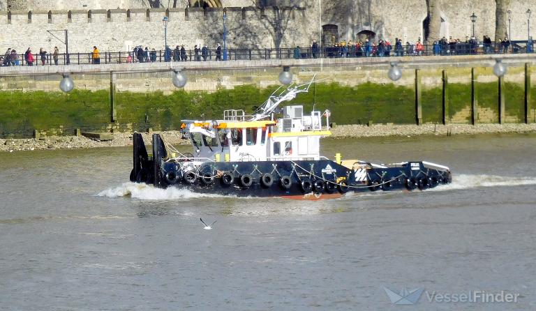 PACIFIC OASIS VII photo