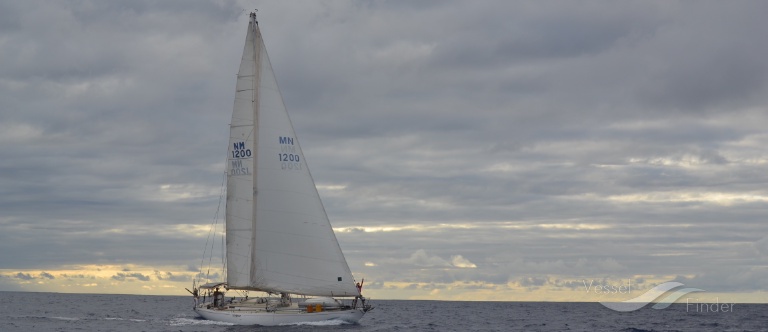 SYNERGY OF LONDON photo